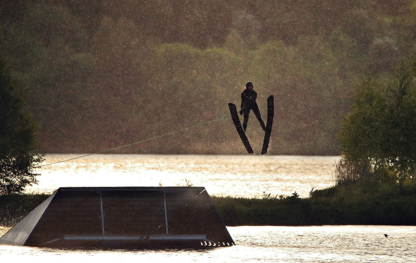 полет ласточки