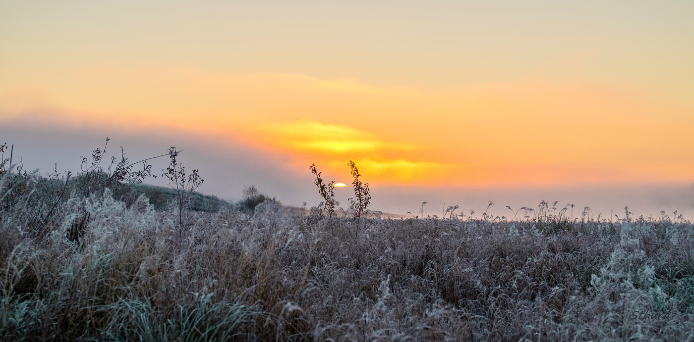 Вышло из тумана.