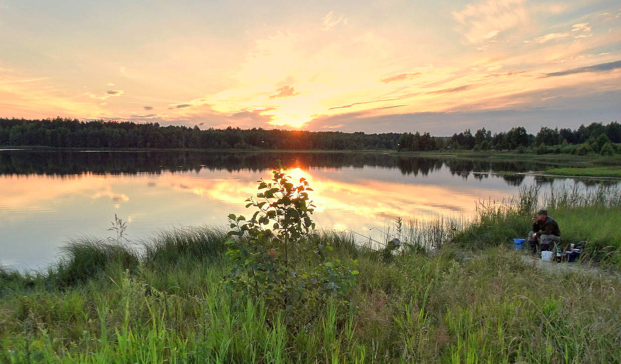 Рыбалка на вечерней зорьке