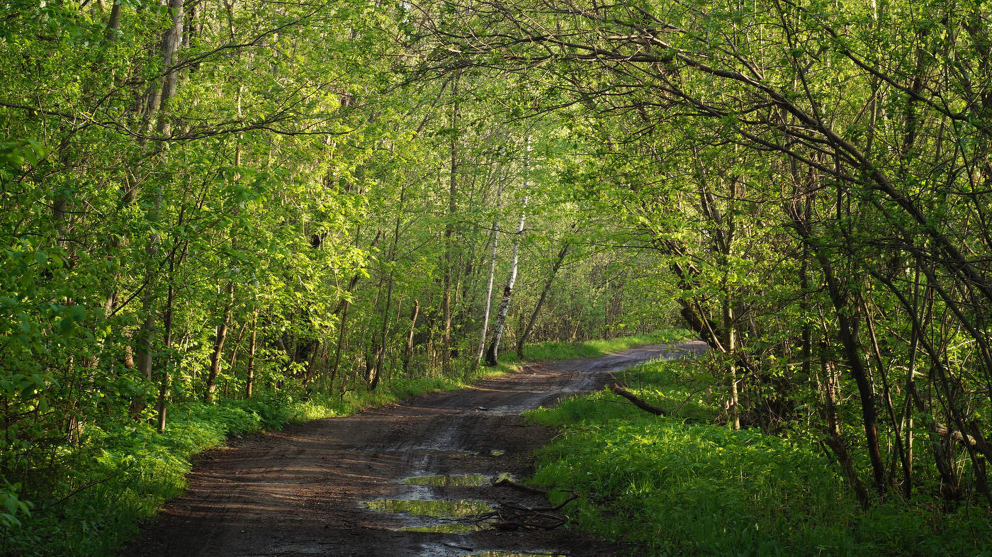 После дождя.