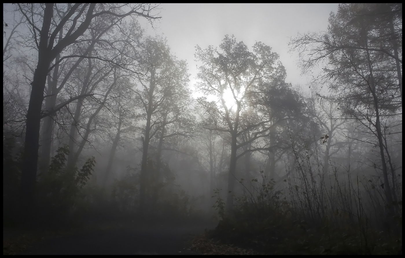 Утро туманное