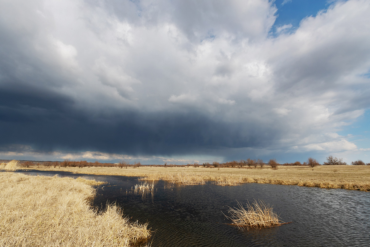 В воздухе пахнет весной