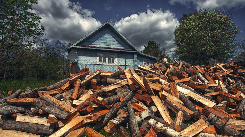 Жизнь вокруг