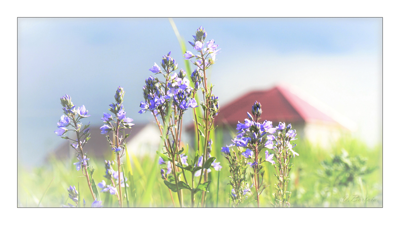 Встречая лето