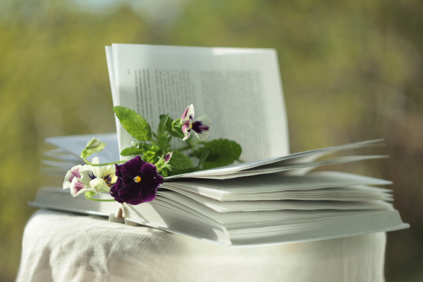 Анютины глазки