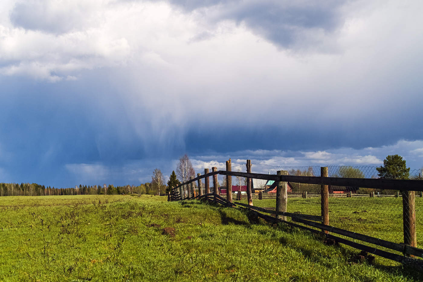 Грибной дождь