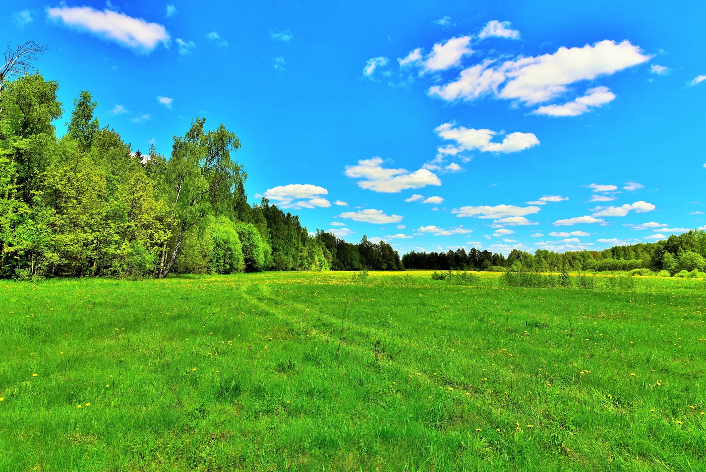 Май заканчивается - завтра лето ...