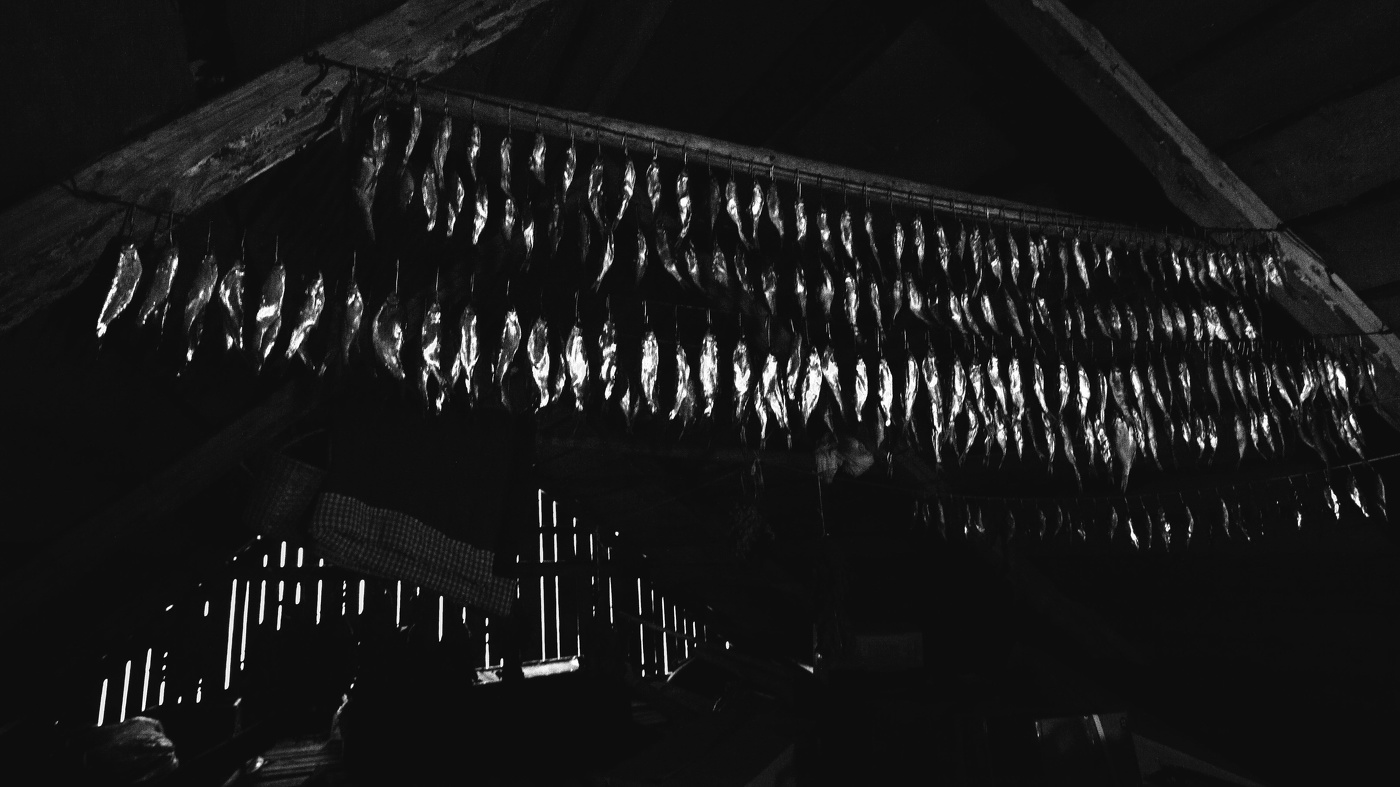 Жизнь вокруг