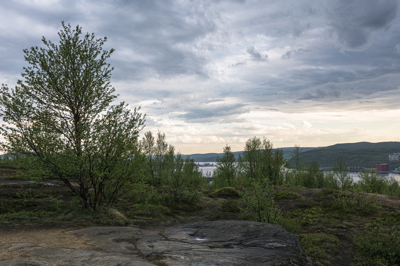 лето пришло