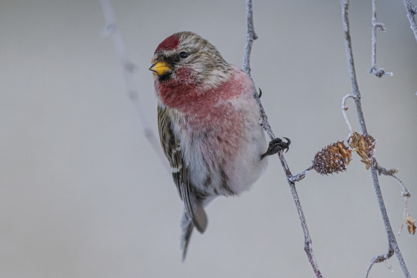 перед восходом