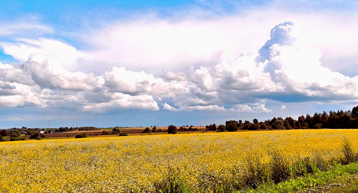 Вот и лето пришло