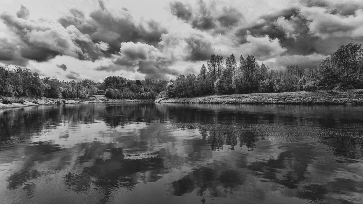 Жизнь вокруг