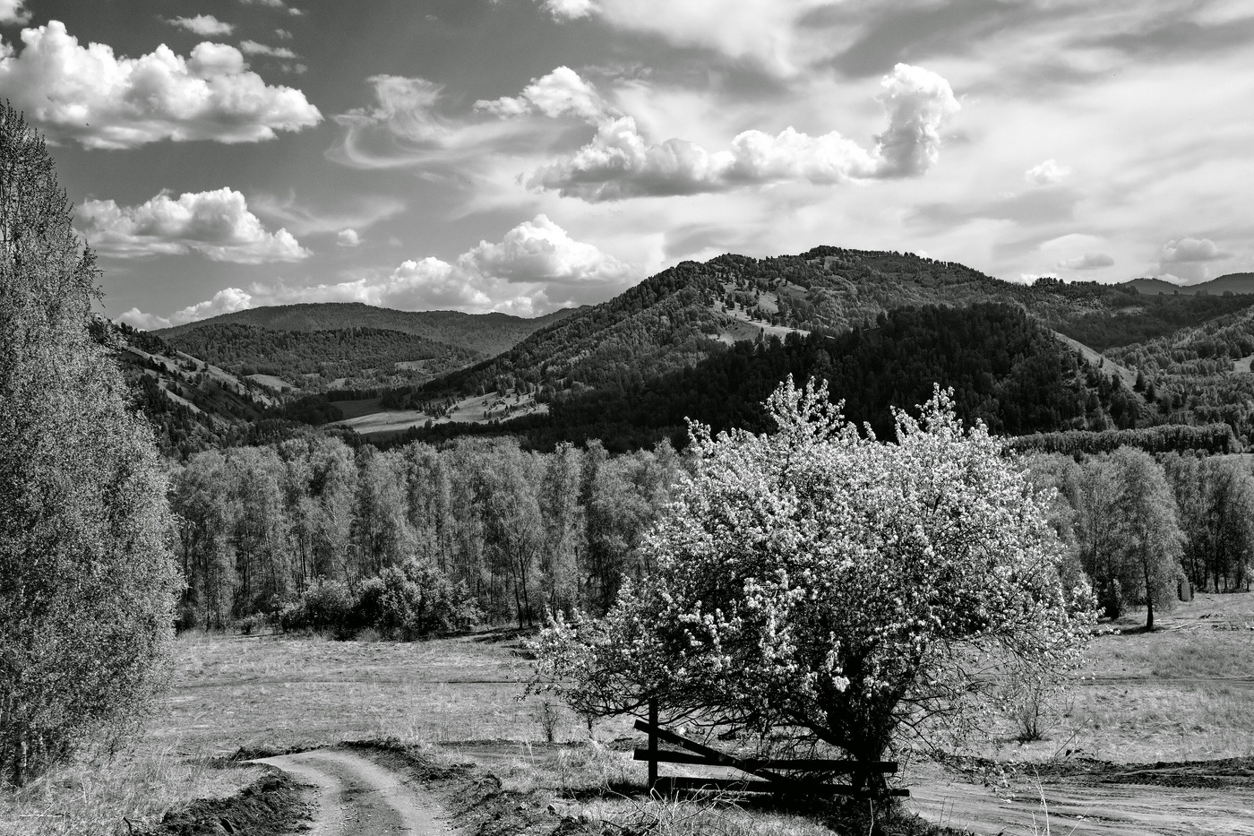 *Майским днём.**