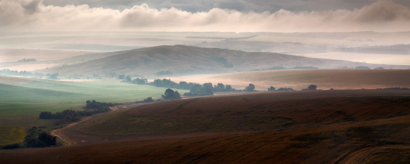 Ненастное утро