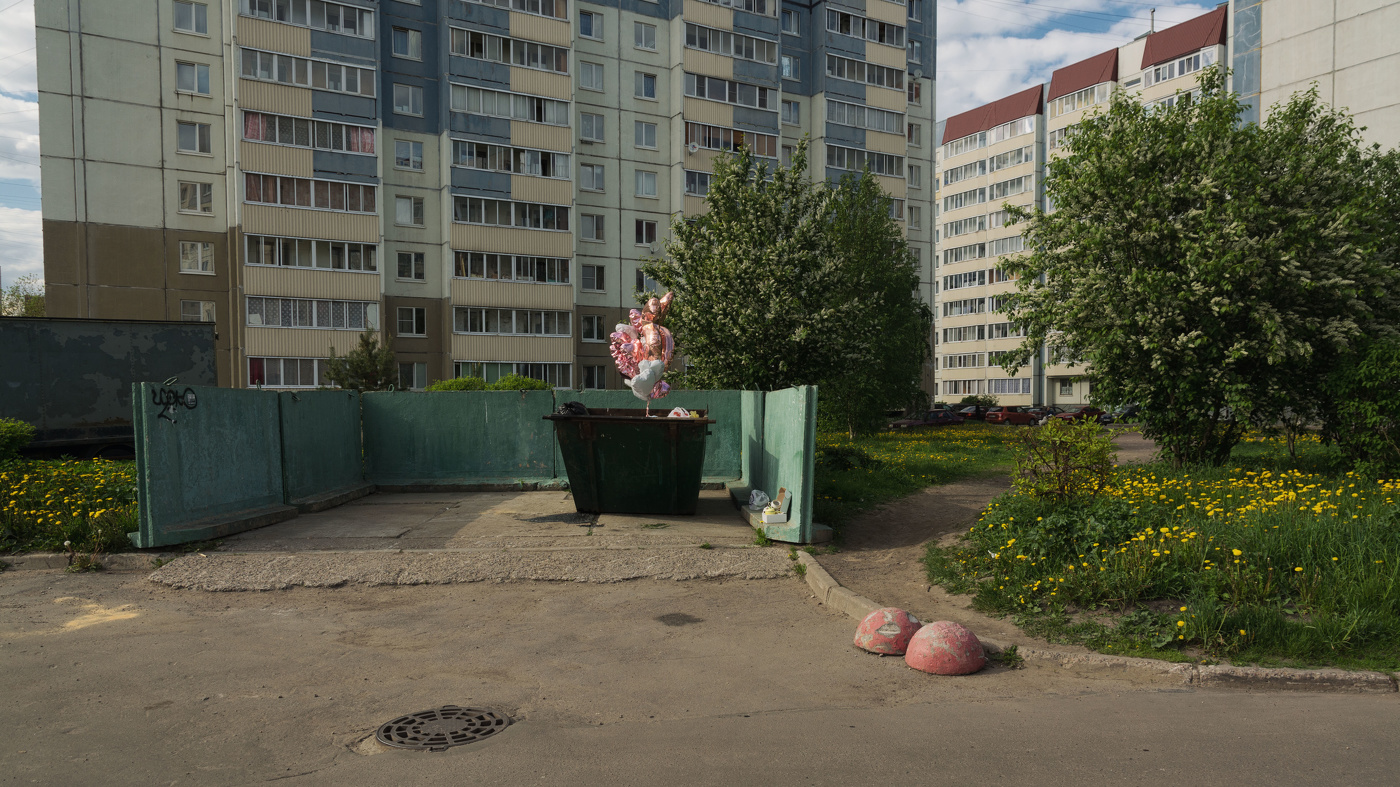 Жизнь вокруг