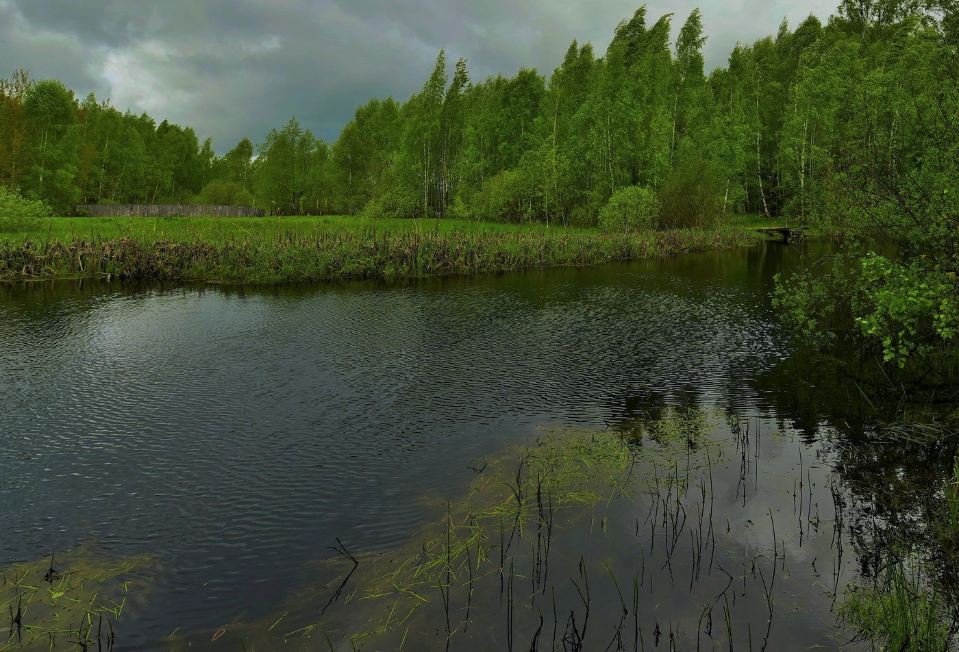 "Ужасный, кошмарный, нехороший, очень плохой день..."