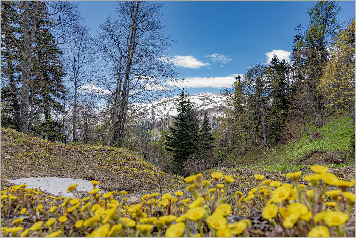 Среди снегов белых ...