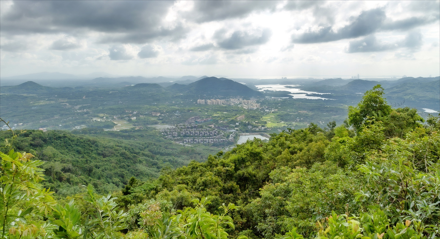 Зеленый остров.