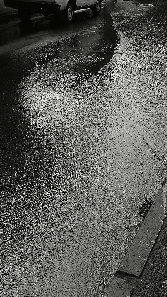 эти летние...