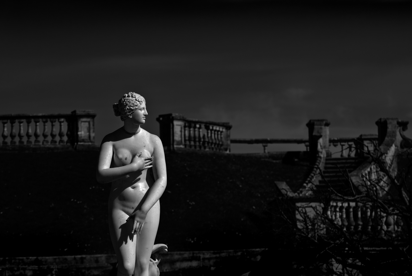 Нестандартный Петергоф - 34