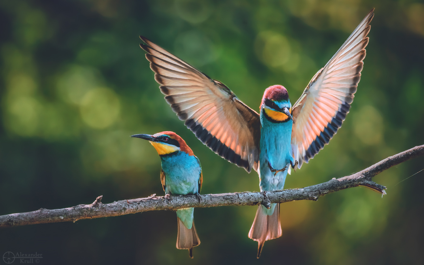 Я тут присоседюсь...