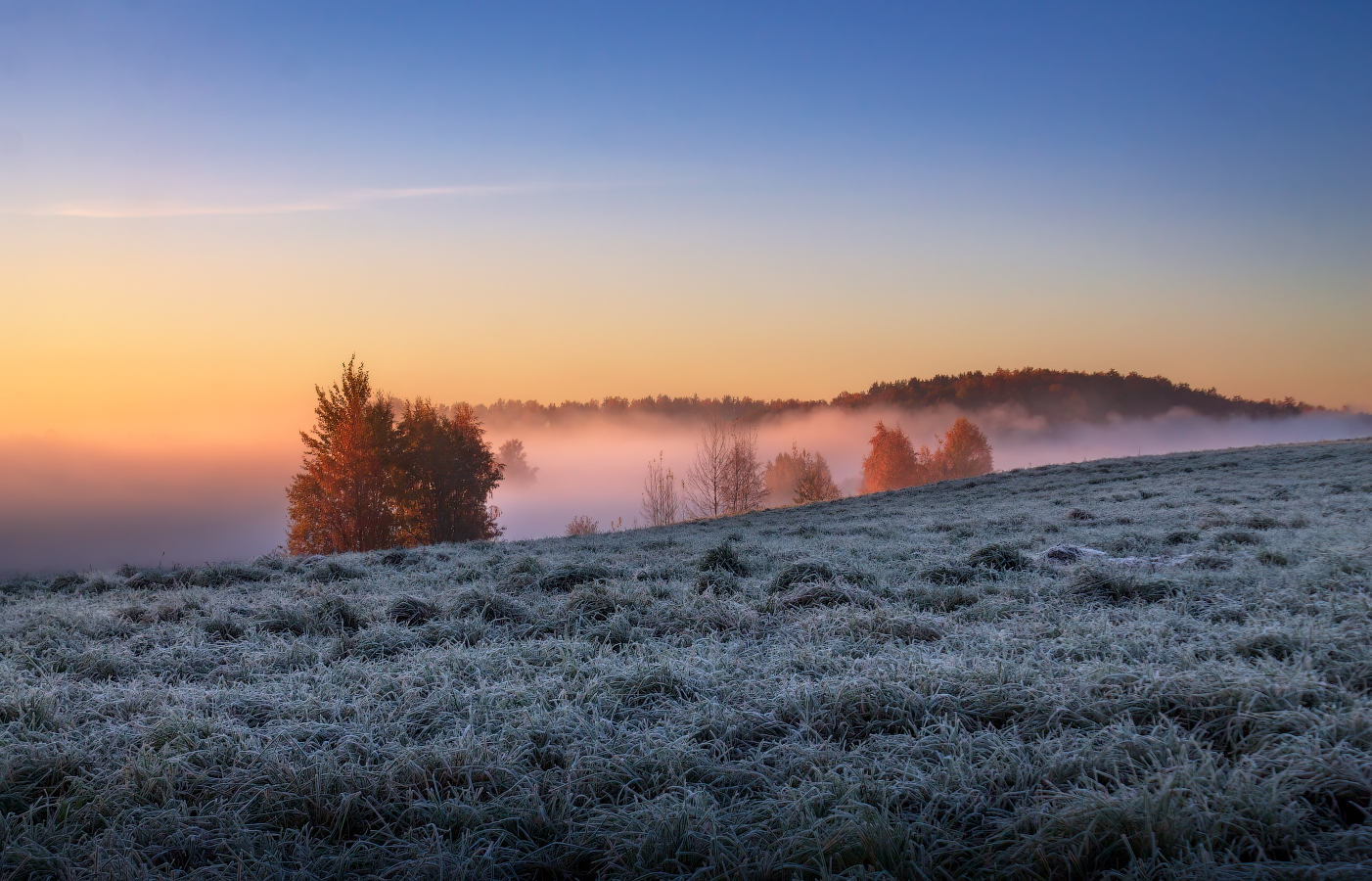 Осенние заморозки