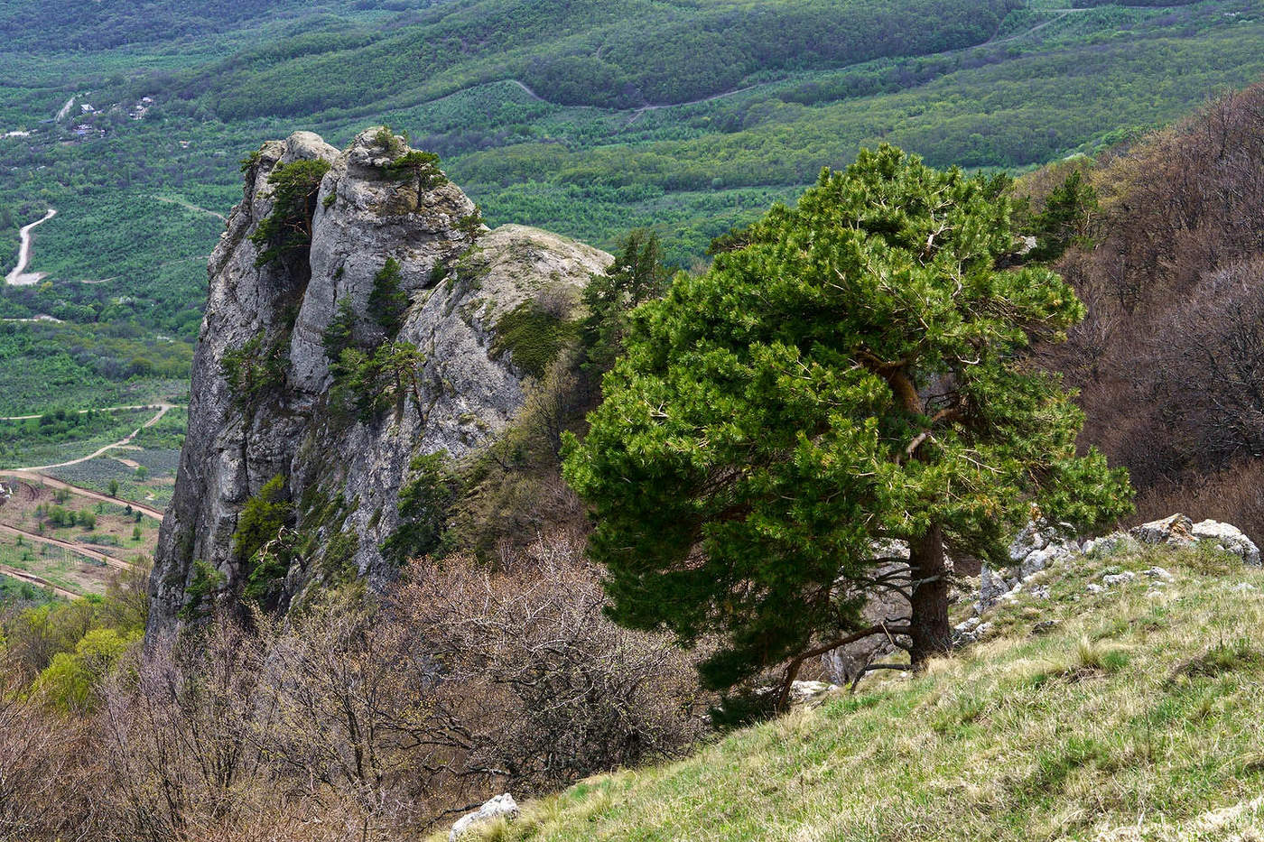 На склонах Северного Демирджи