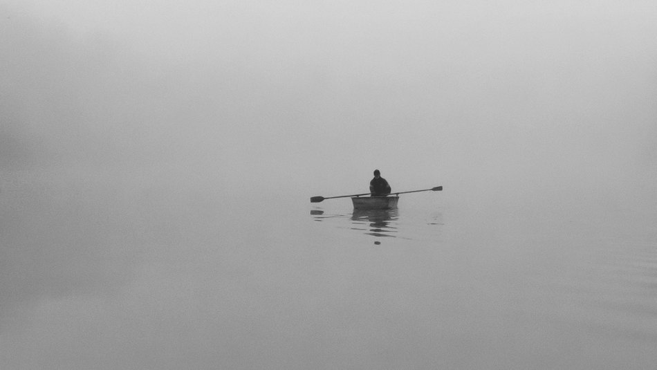 Жизнь вокруг