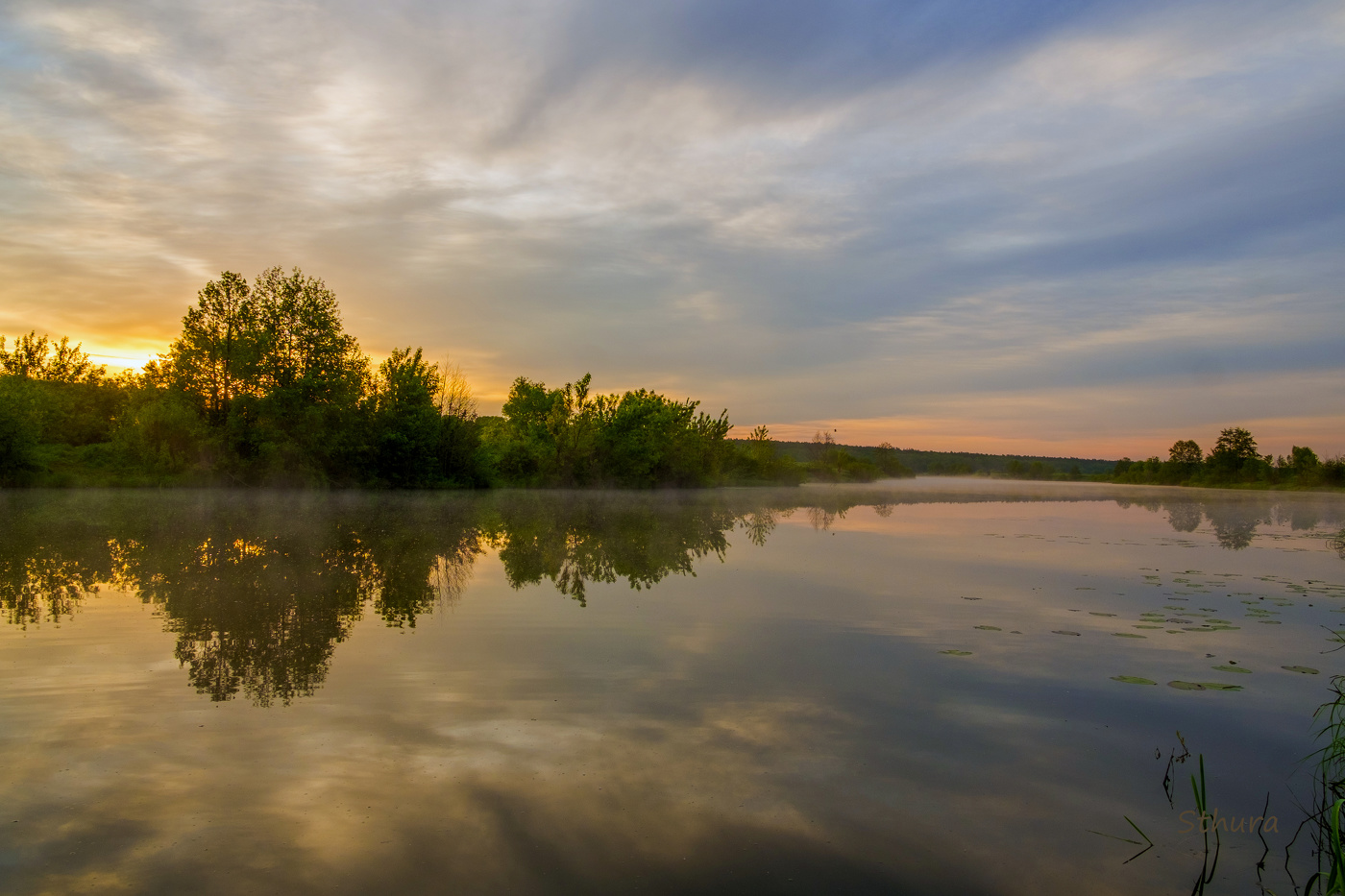 Летнее утро.