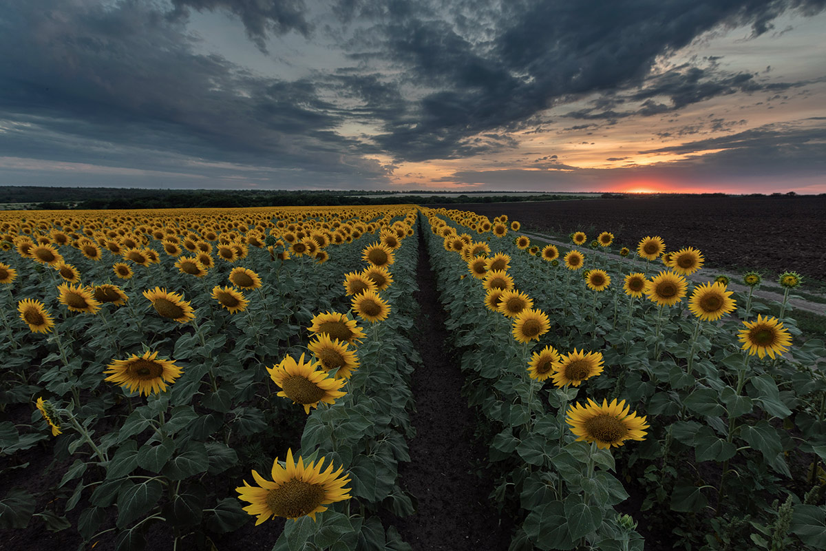 Вспоминая июль