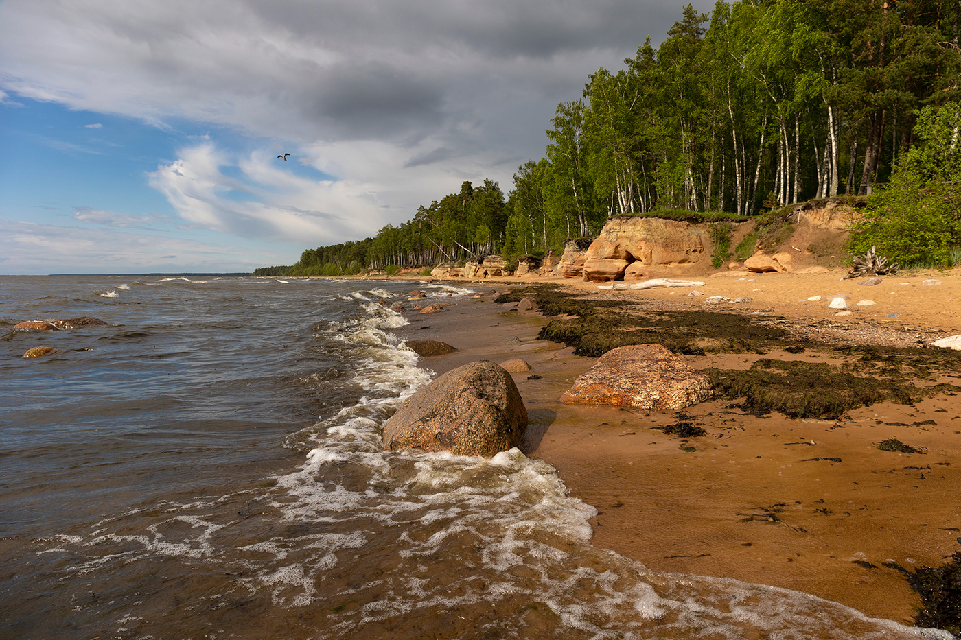 И снова лето