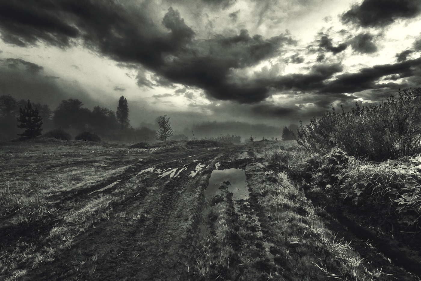 Жизнь вокруг