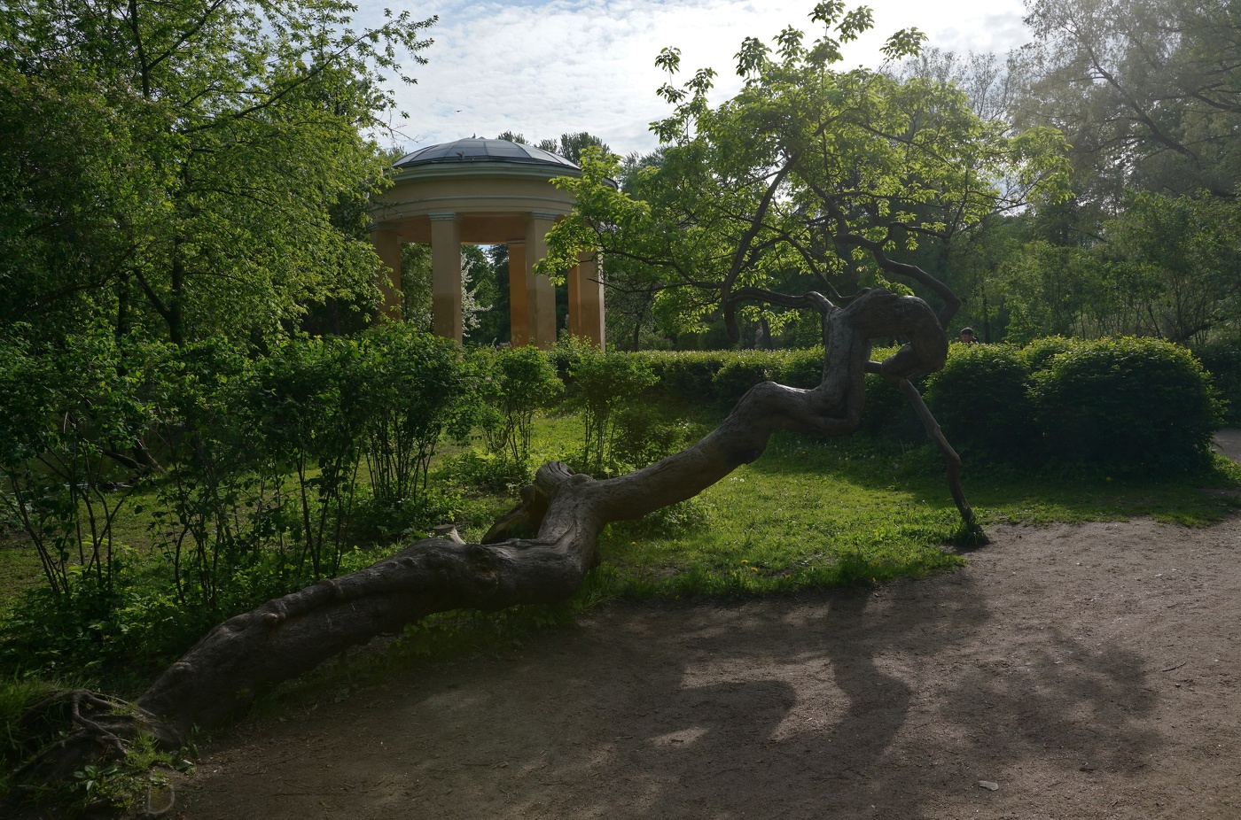 Линия жизни