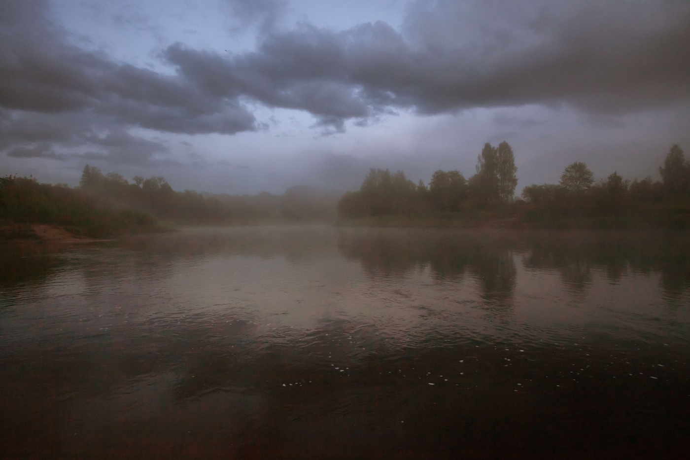 Жизнь вокруг