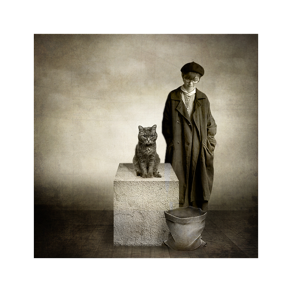 продажа кота (или продажа хозяйки?)