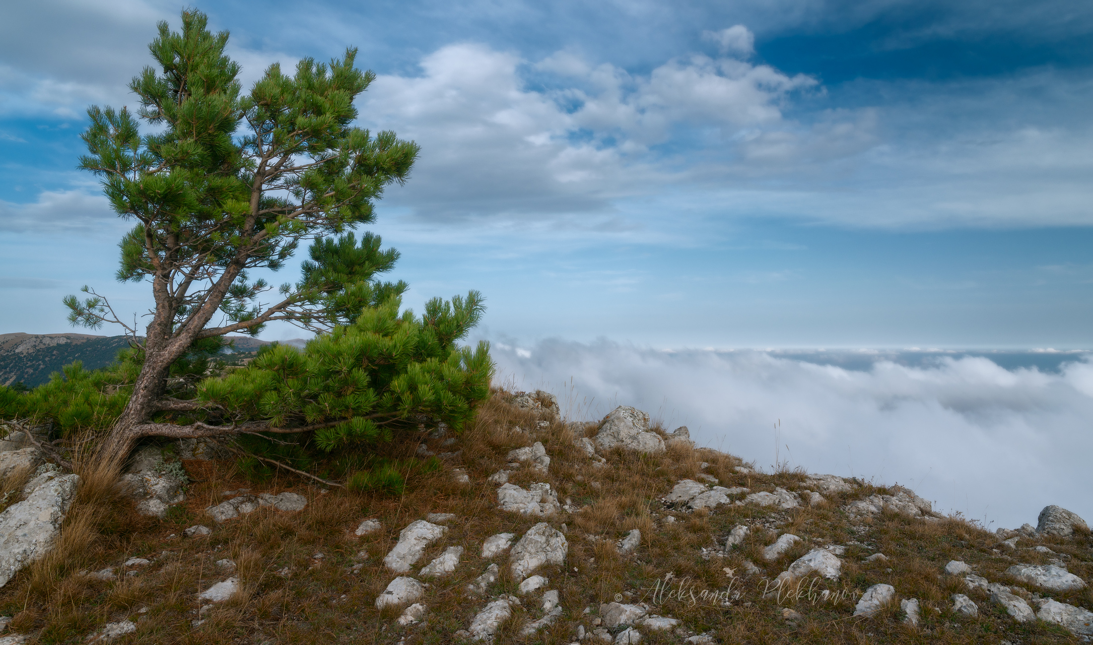 Минимализм Крыма