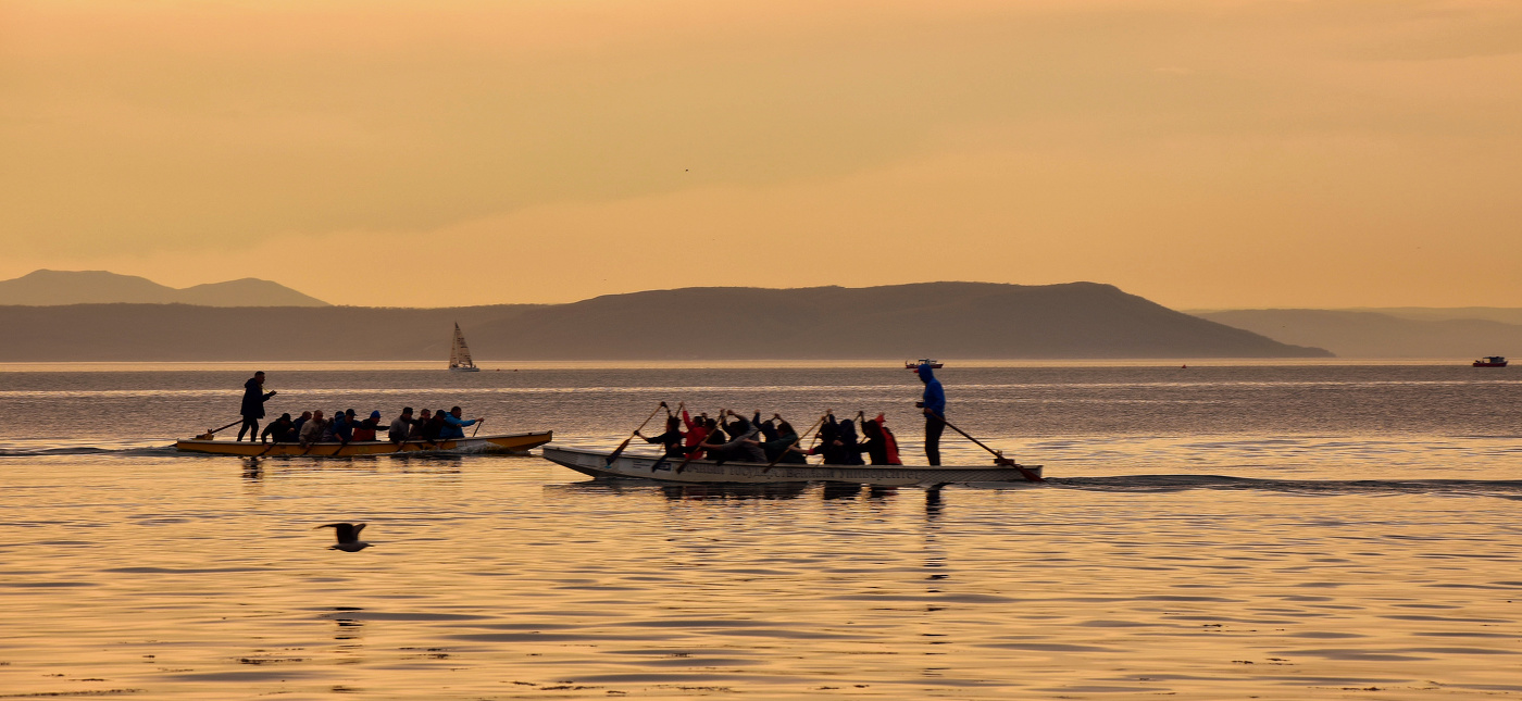 Встречным курсом