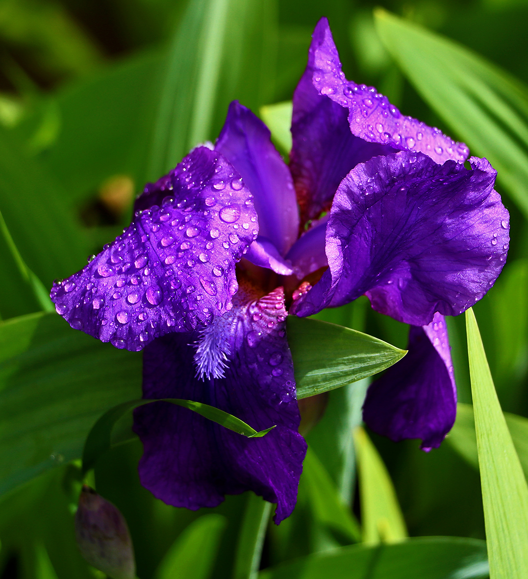 После дождя