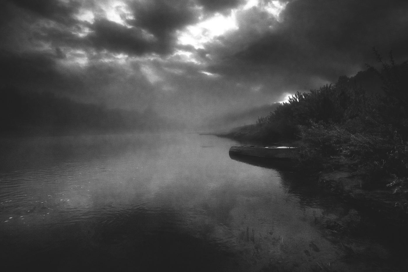 Жизнь вокруг