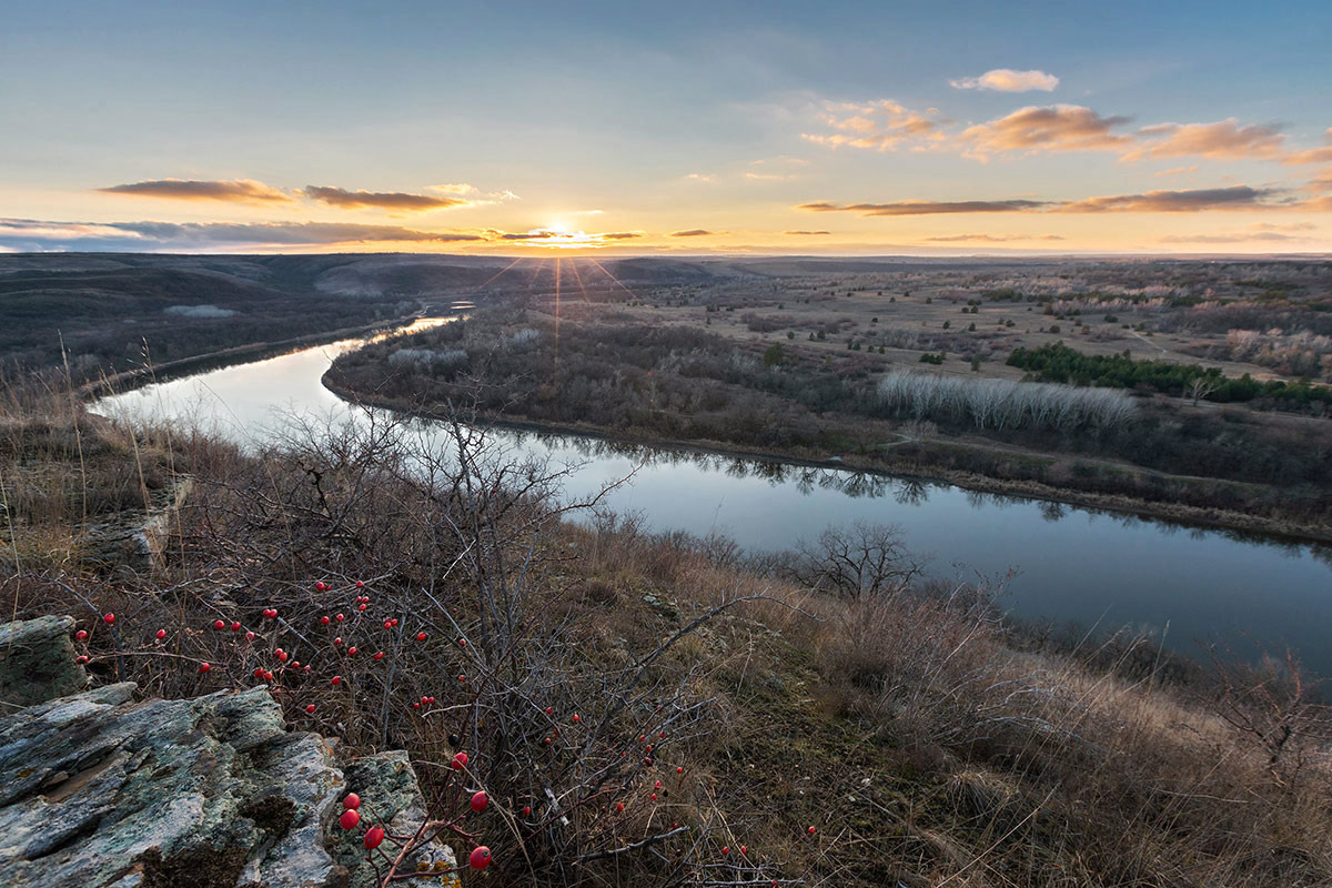 Звенящая тишина