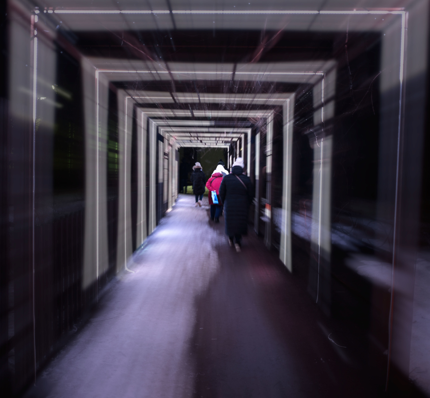 перспектива