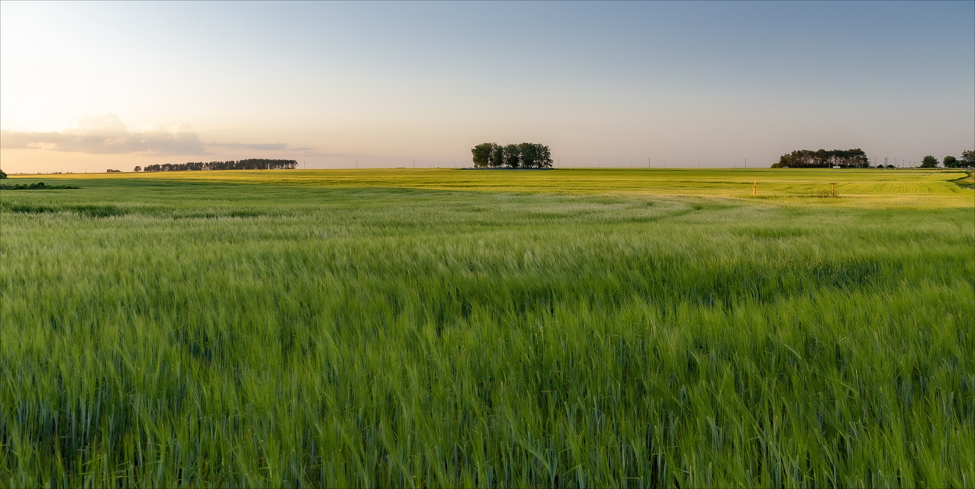 Спустился вечер на поля...