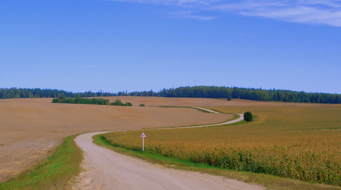 Кривая дорожка в никуда...