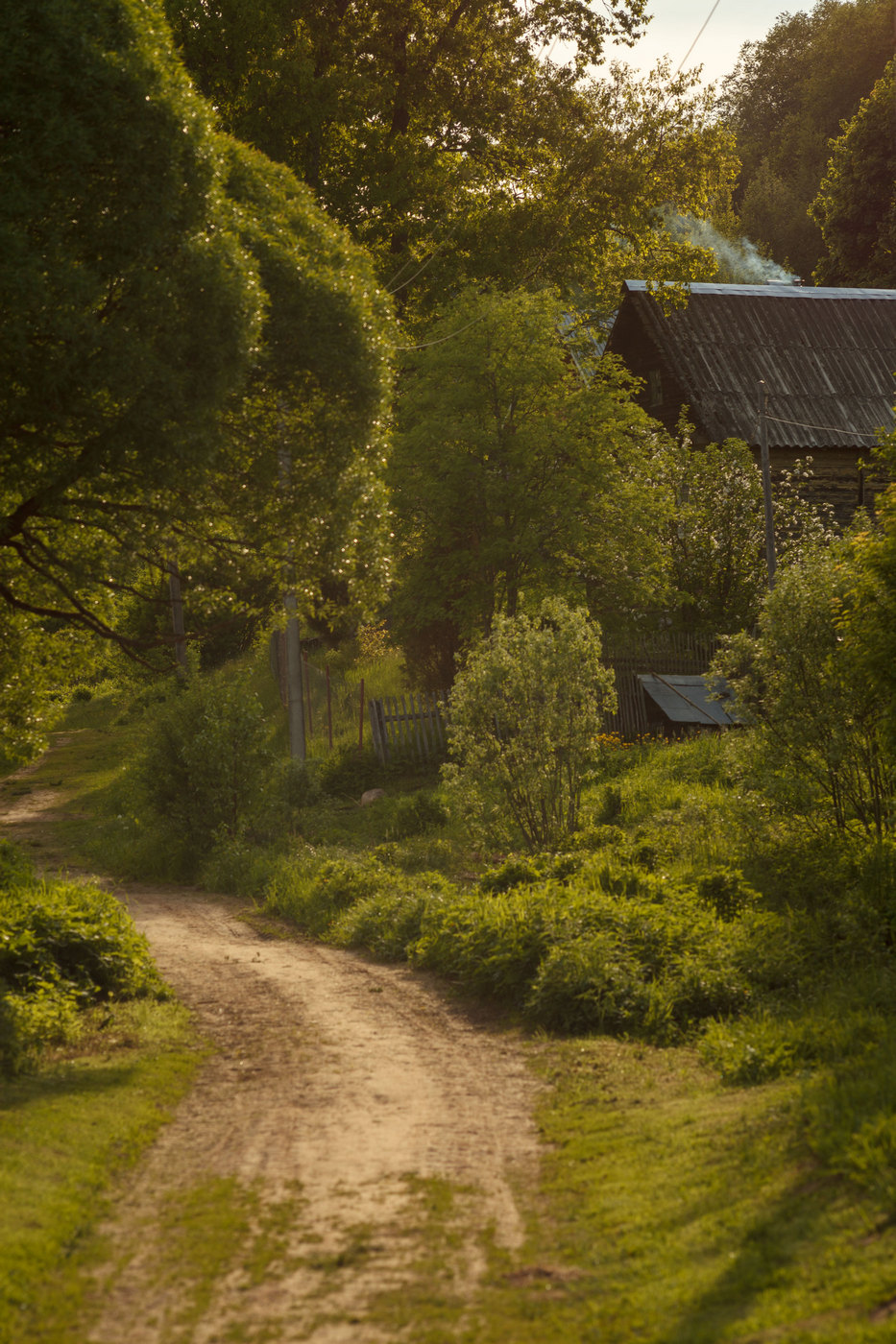 Жизнь вокруг