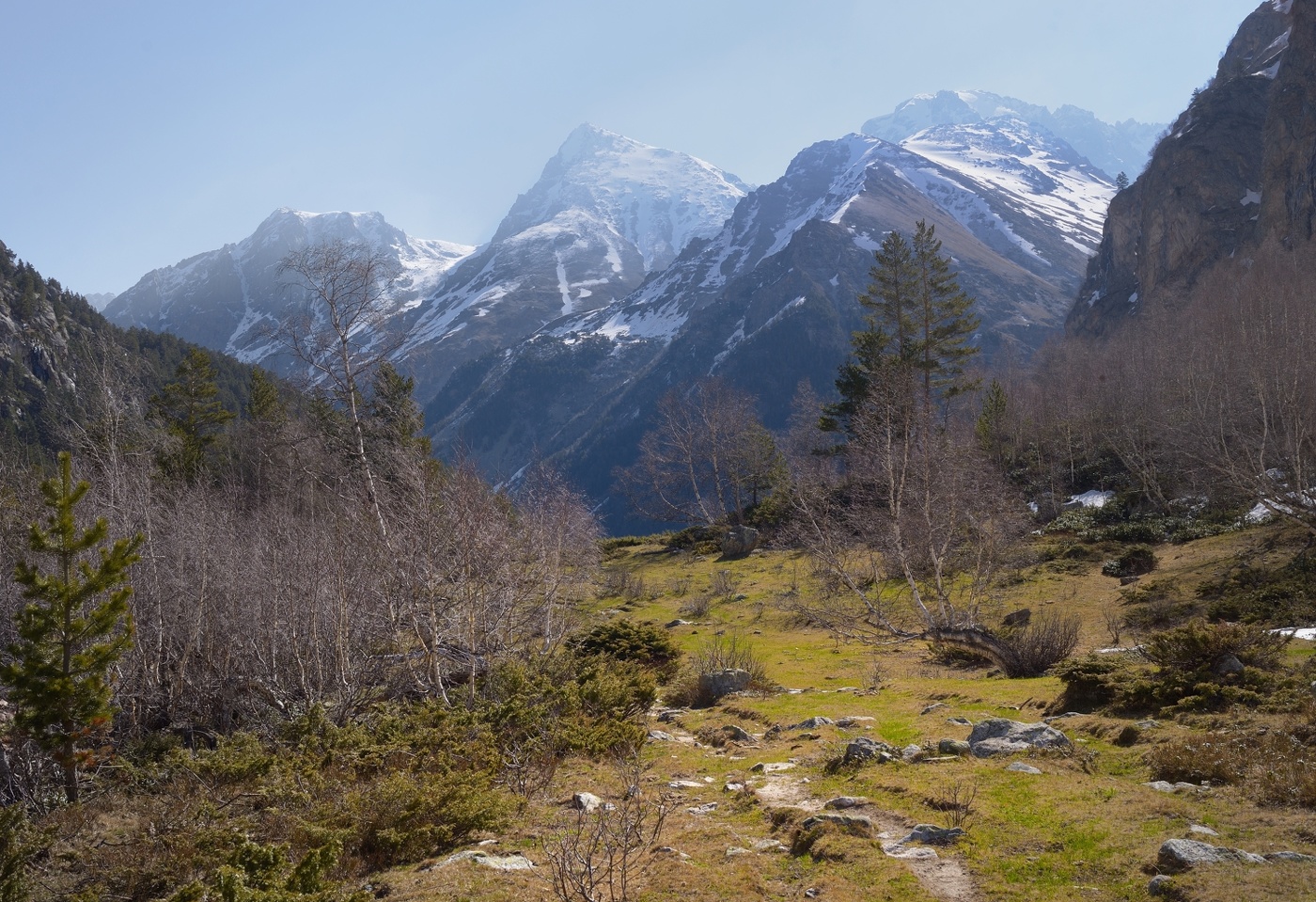 Пришла весна