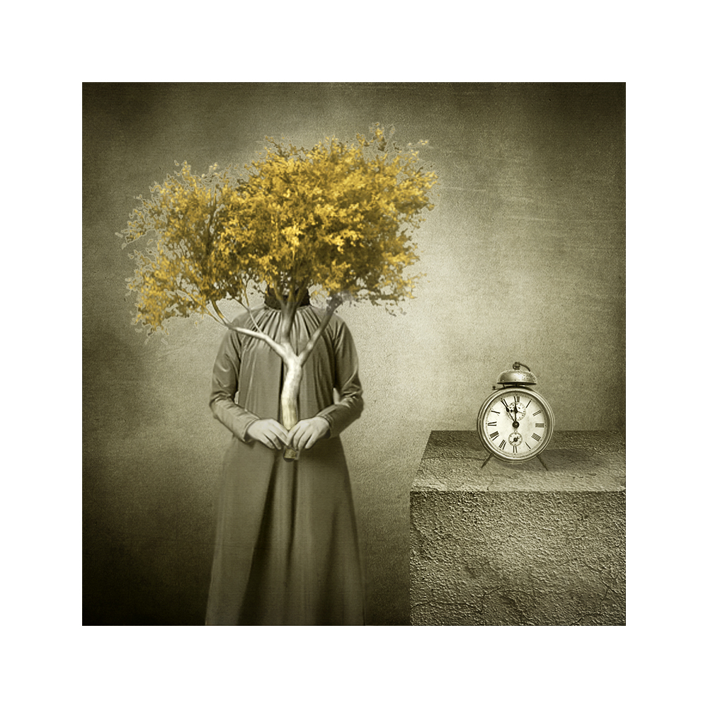 портрет незнакомки