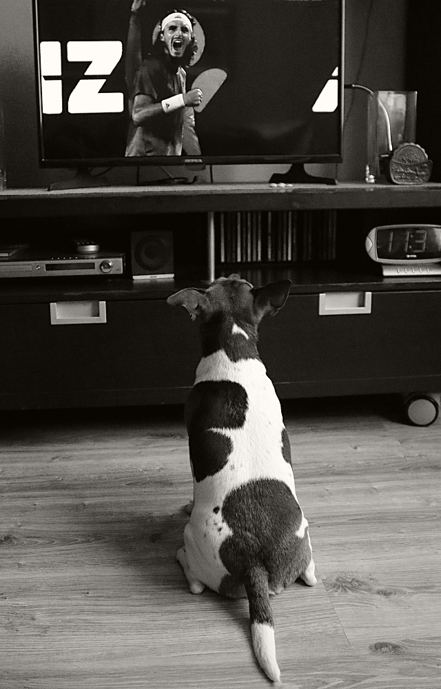 Все для вас!