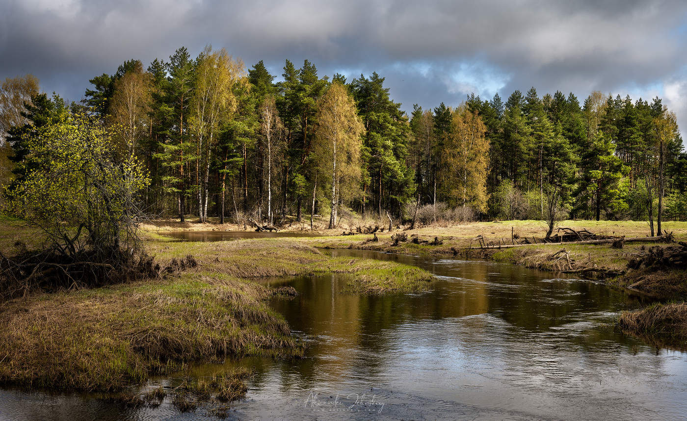 Краски весны