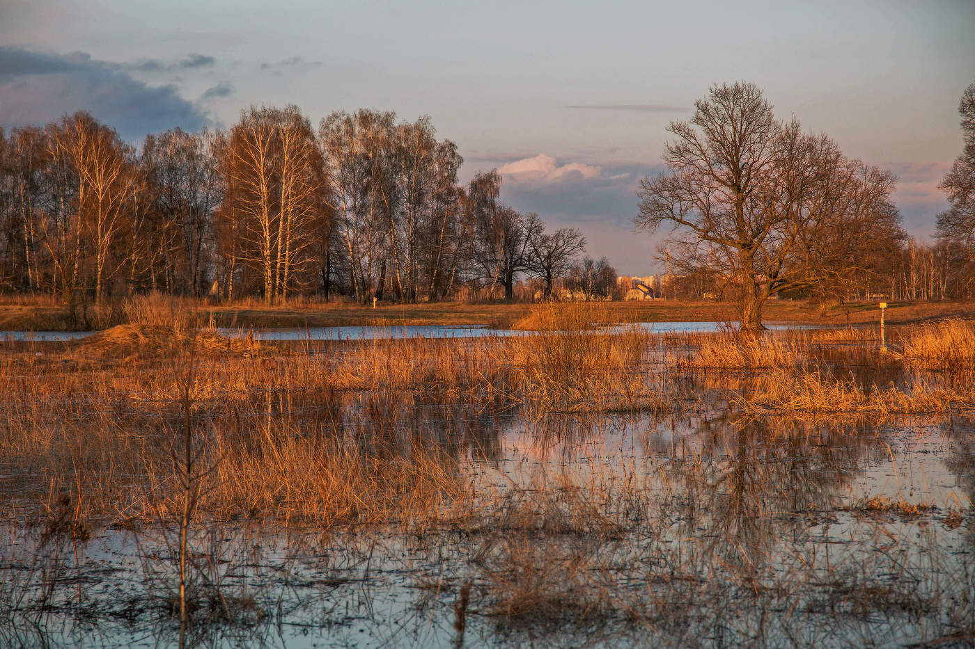В вечернем свете