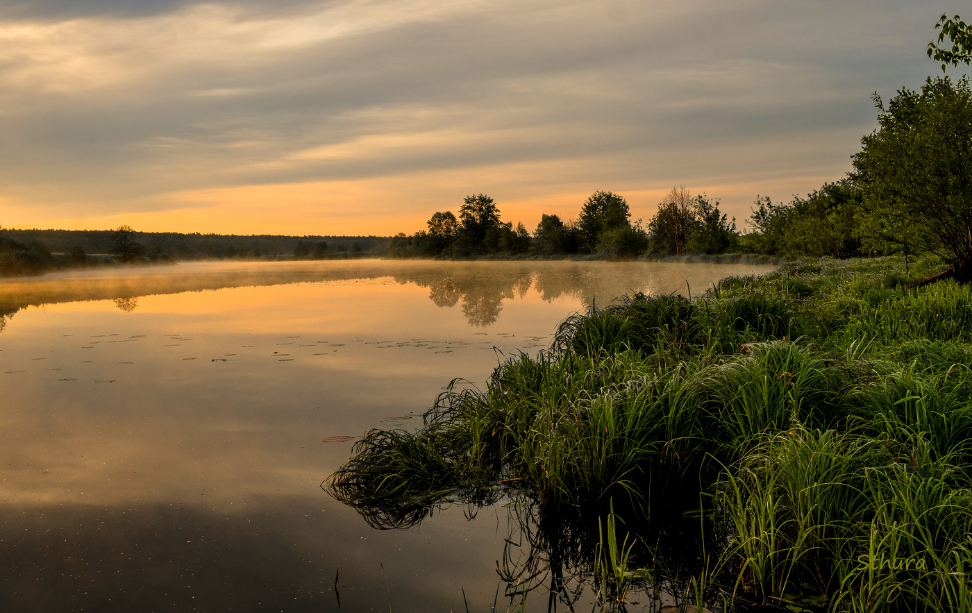 Летнее утро.
